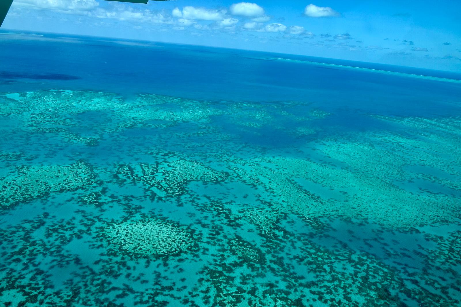 The Great Barrier Reef, Cairns, Queensland (Ank Kumar)
