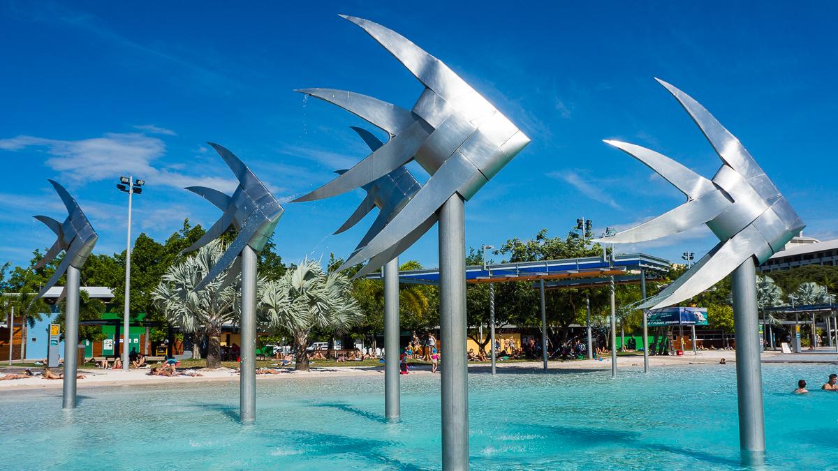 Peak Whale Season Hits Cairns in July for Perfect Reef Adventures