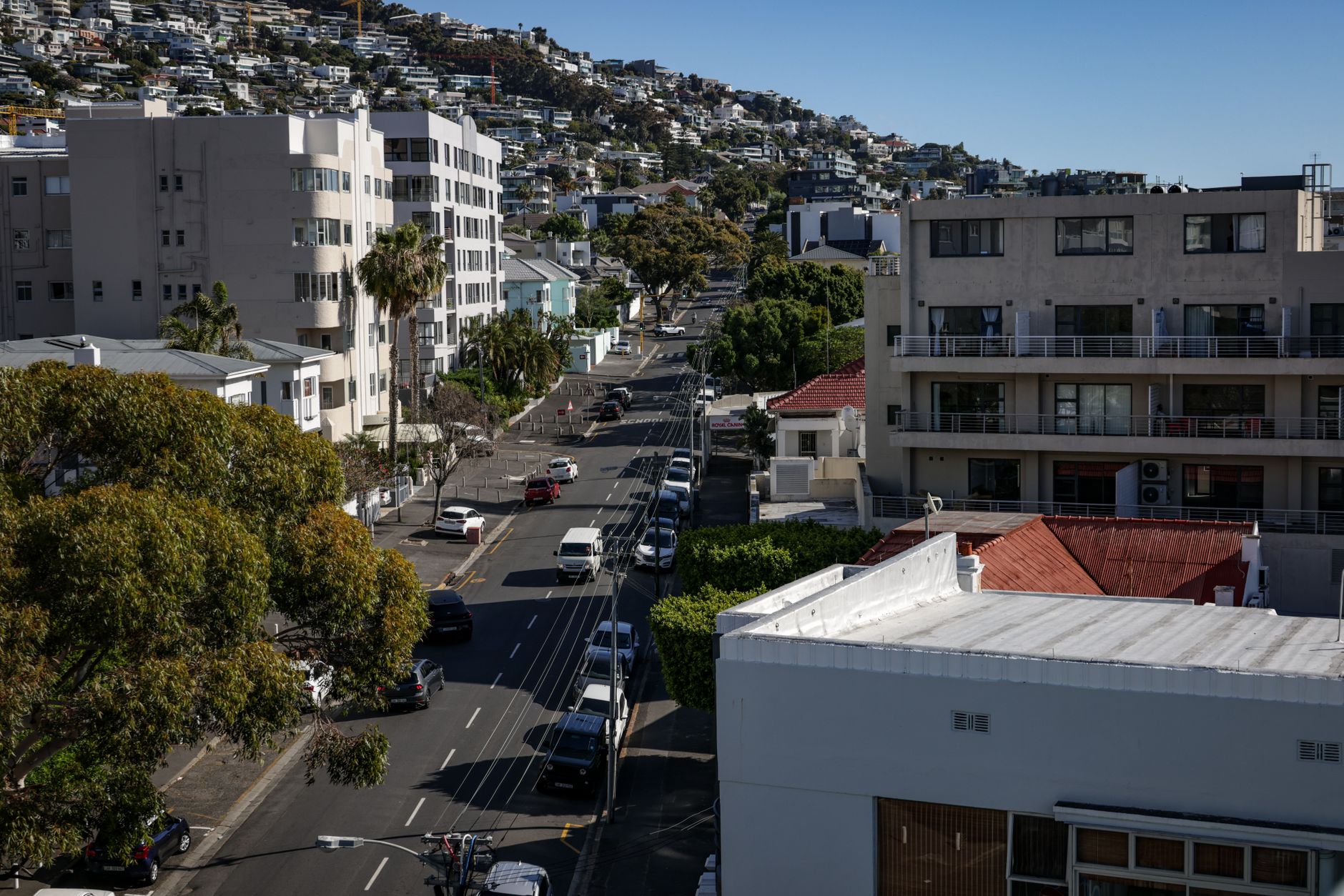 Removalists Cairns 2026: How to Choose & What to Expect
