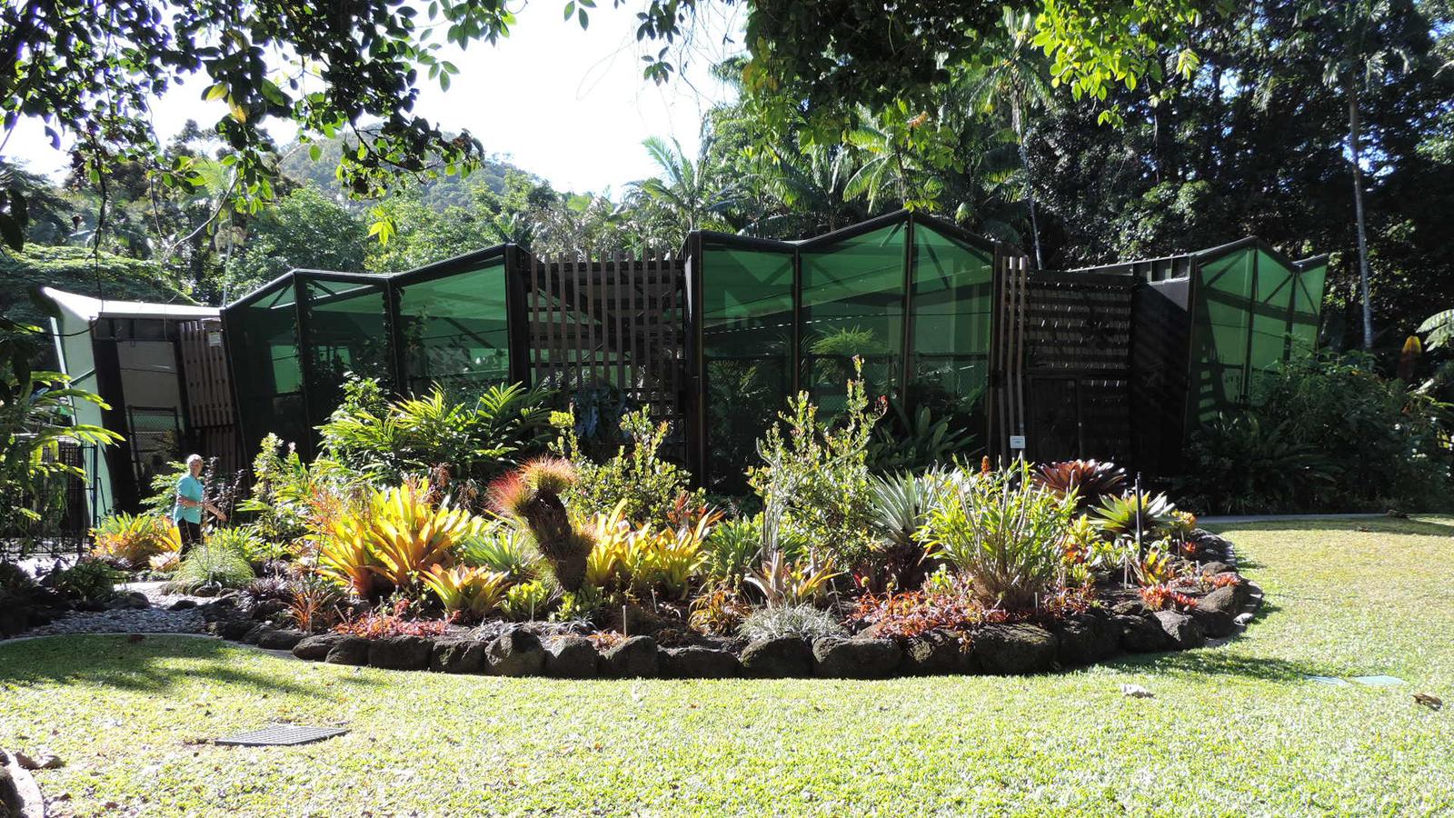 Cairns Botanic Gardens, Edge Hill, 2018