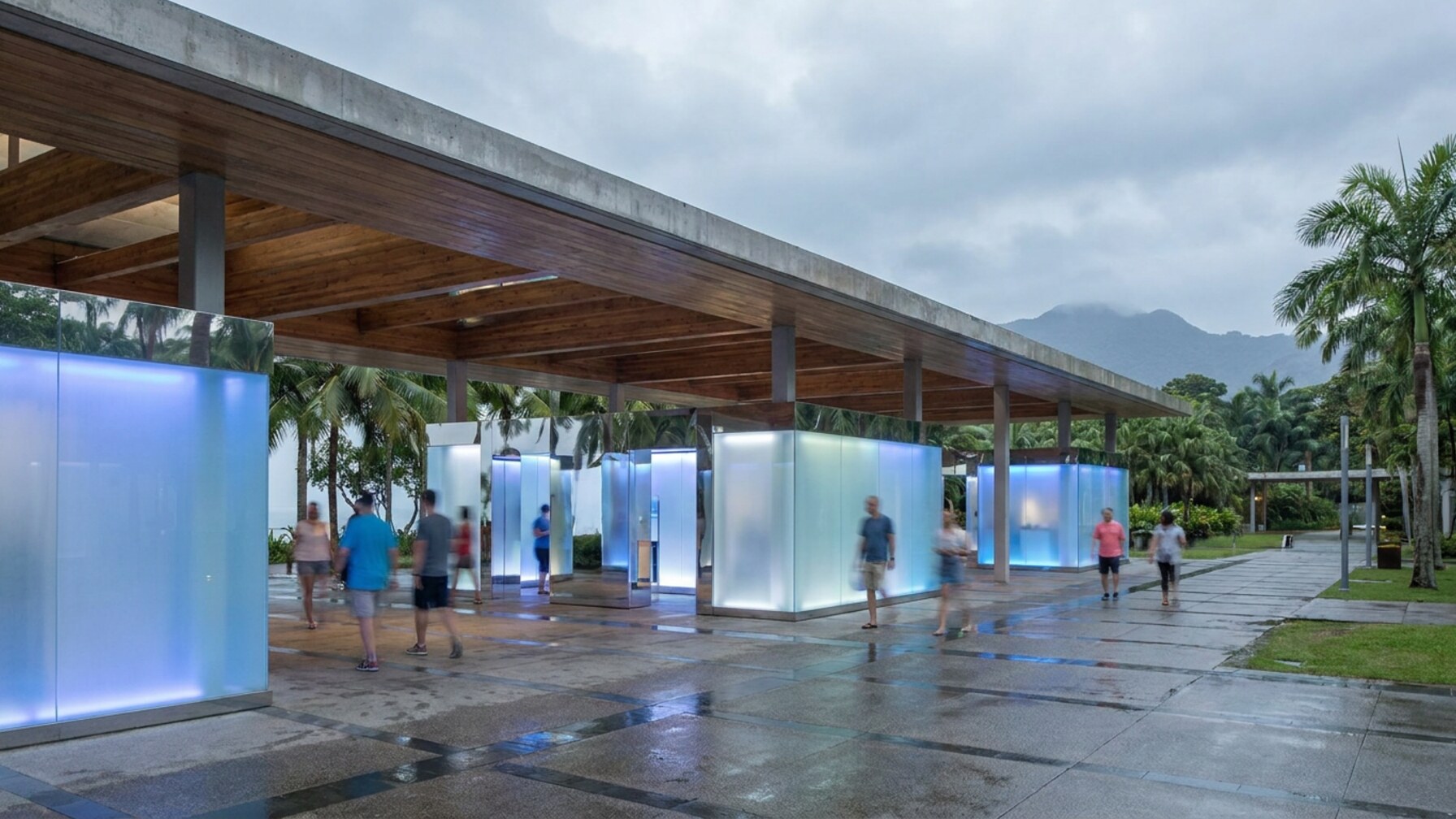 TechWise Cairns: The Digital Literacy Platform Transforming Local Skills This Month