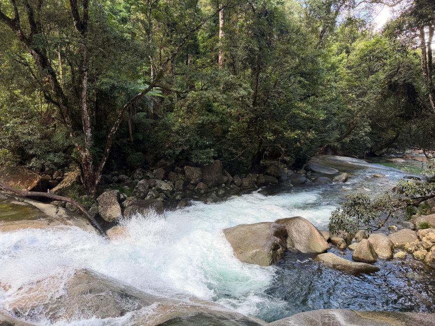 Daintree Rainforest and Cape Tribulation Unite Two World Heritage Areas