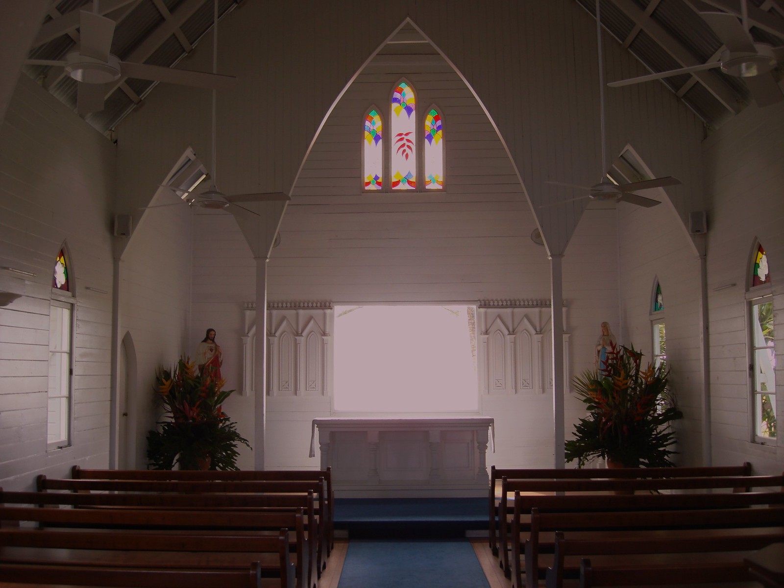 Wedding Venues in Cairns 2026, Top Venue Types, Costs, Wedding Photographer Prices, and How to Plan Your Cairns Wedding