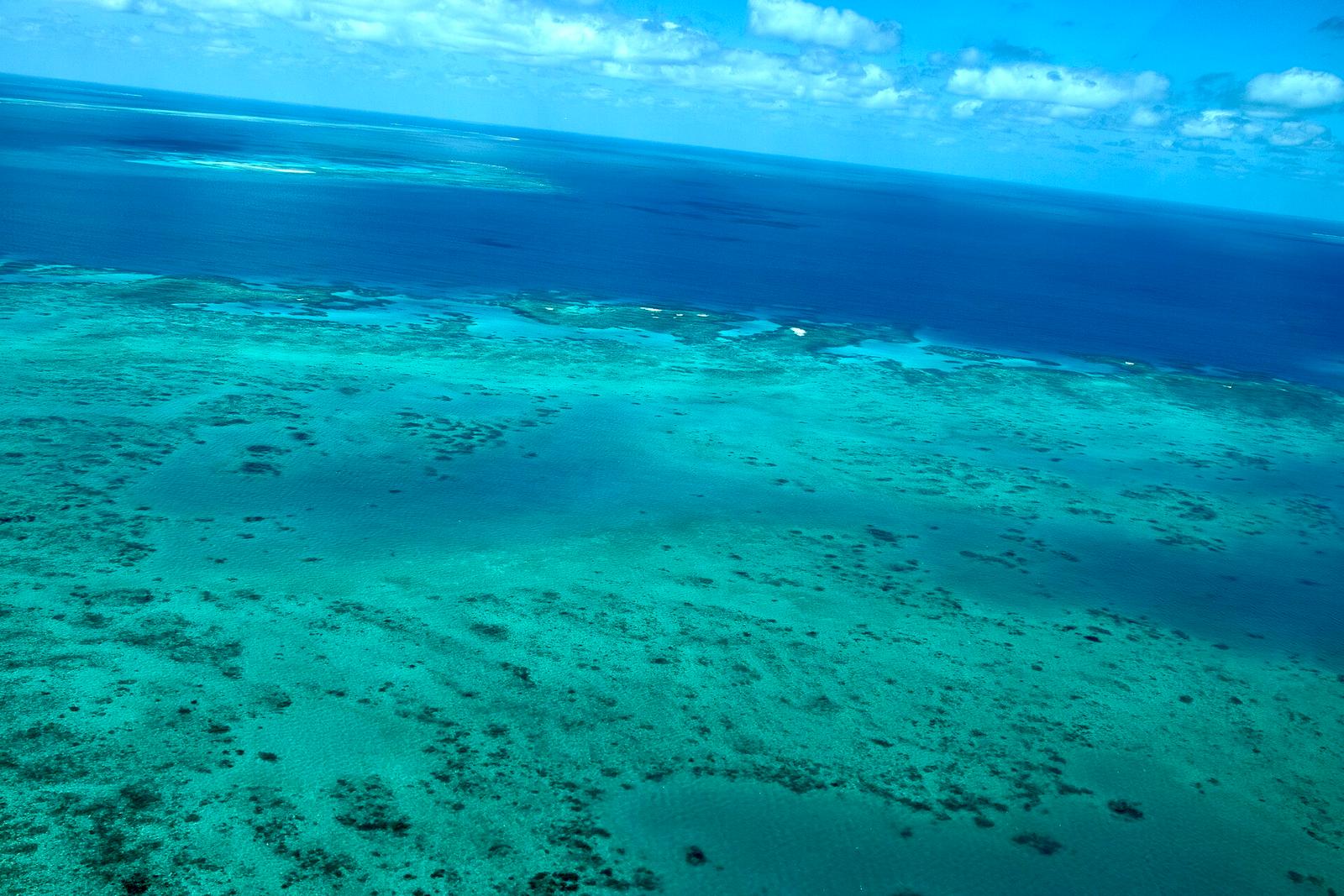 Cairns Dry Season: Whale and Reef Encounters Now Peak