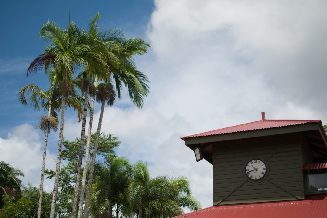 Cairns workforce transformation offers fresh opportunities, with local businesses already reaping rewards