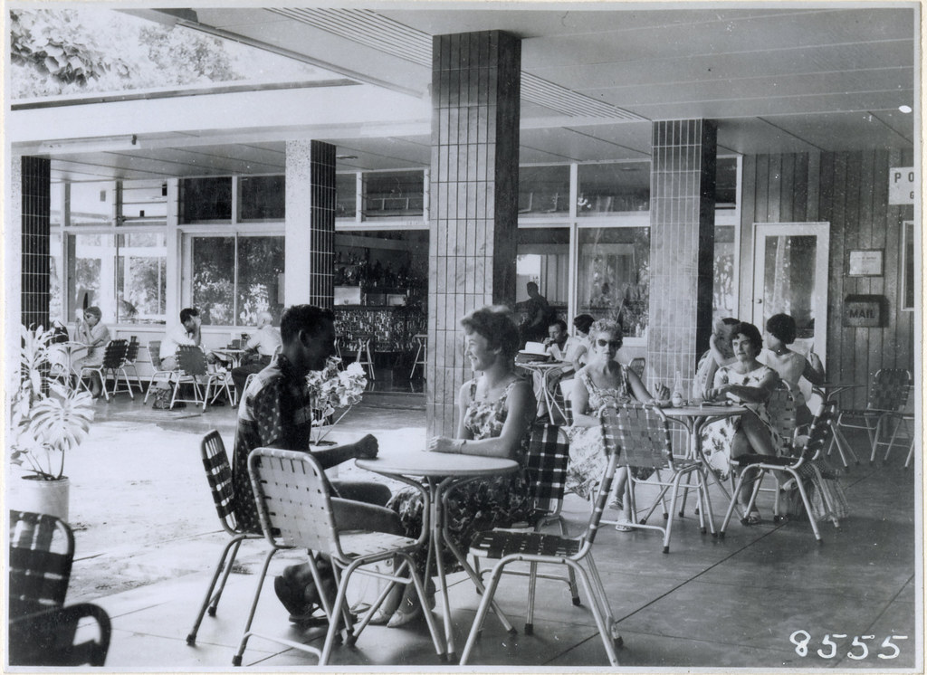 Home and Garden in Cairns: The People and Stories Behind the City’s Green Heart