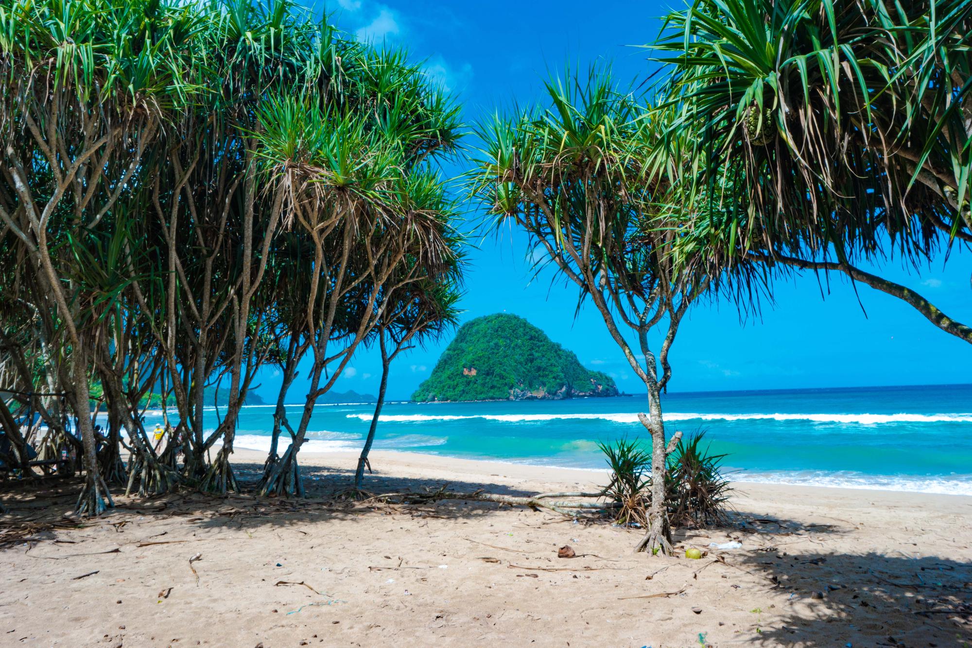 Free things to do in Cairns