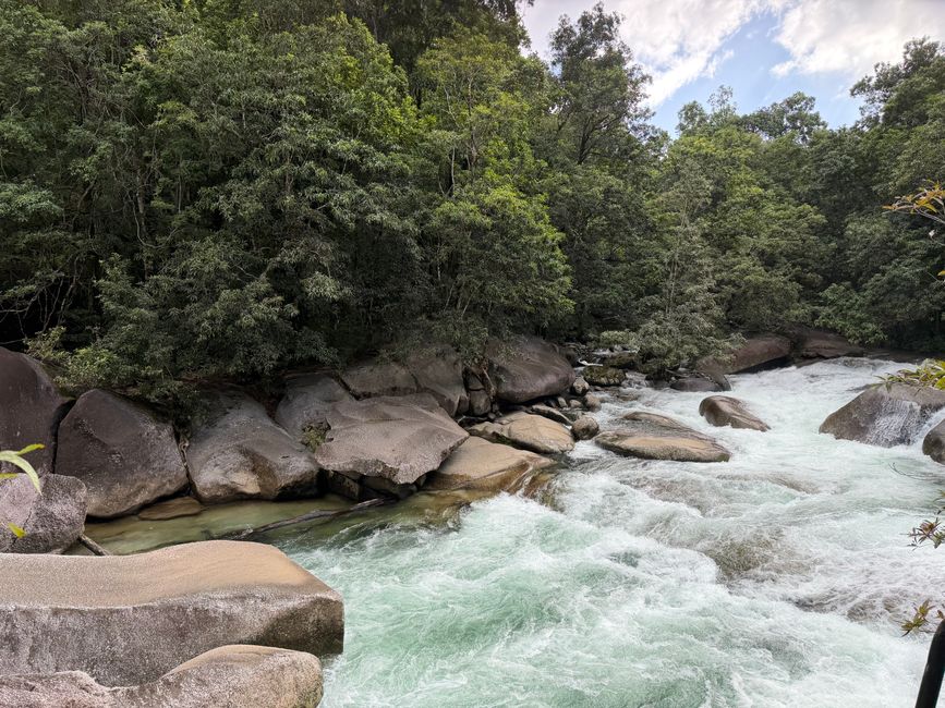 Cairns Local Tours and Experiences Highlight Dual UNESCO Access