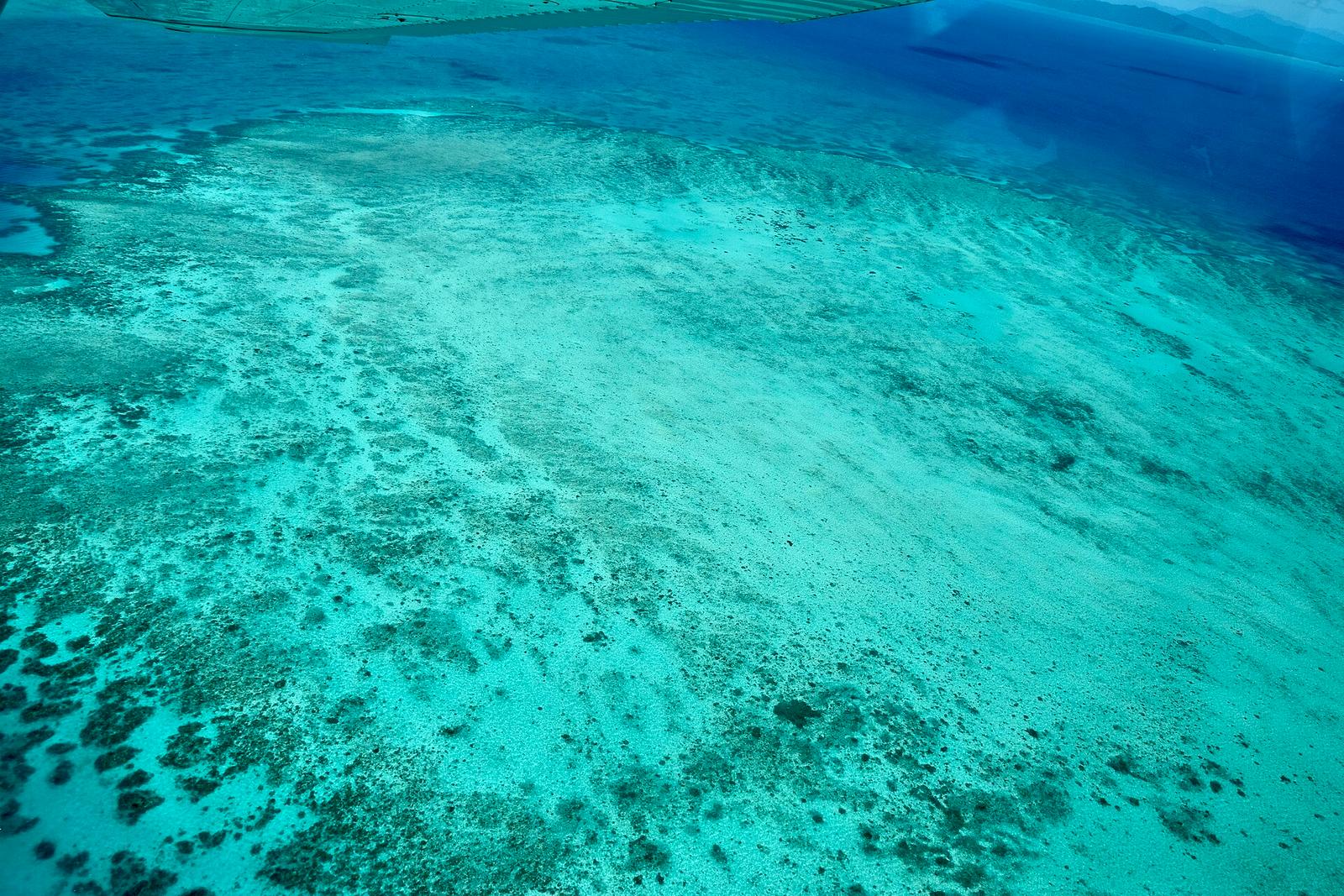 Cairns Lets You Explore Two UNESCO World Heritage Sites in One Trip